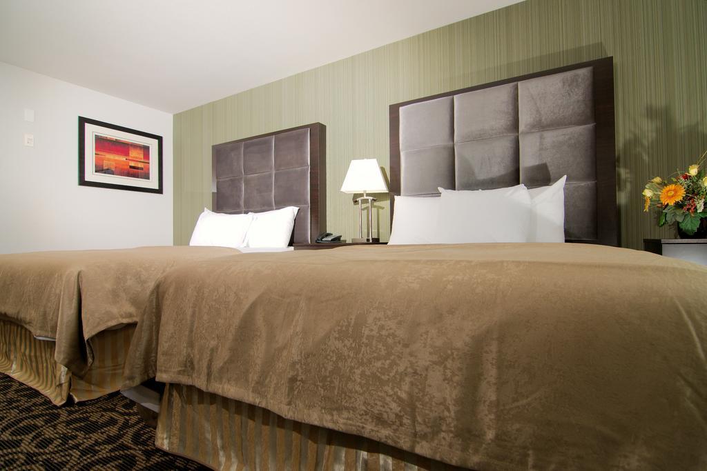Paradise Inn And Suites Redwater Pokój zdjęcie
