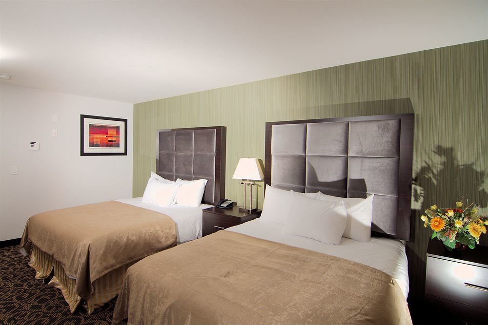 Paradise Inn And Suites Redwater Zewnętrze zdjęcie